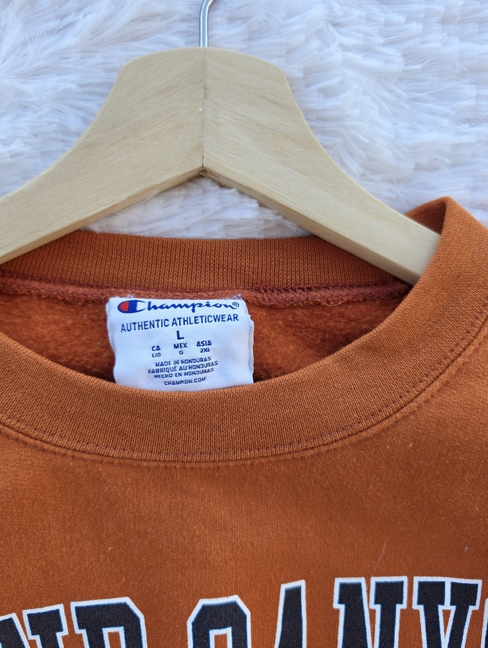 Champiom Grand Canyon National Parks Crewneck Sweatshirt - Picture 4 of 5
